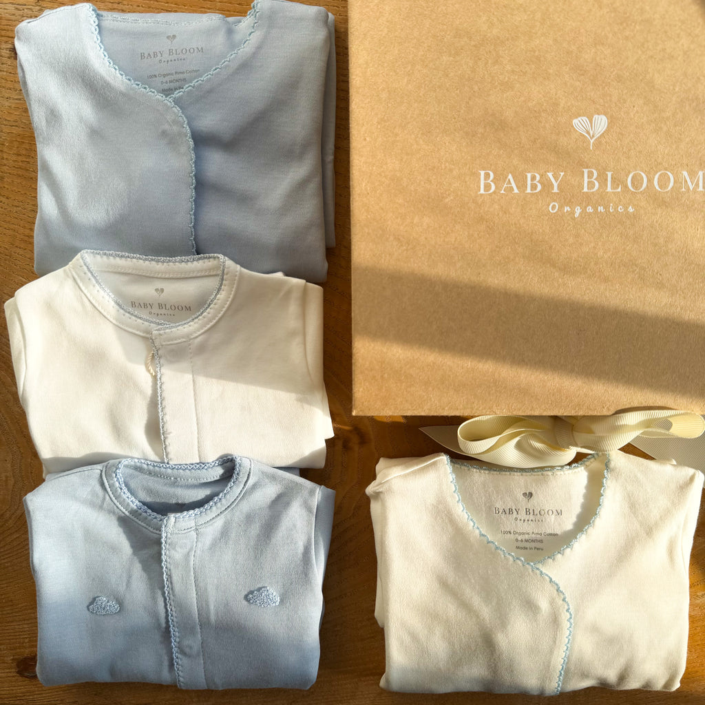 Organic preemie gift set for baby boys with blue cloud embroidery and gowns